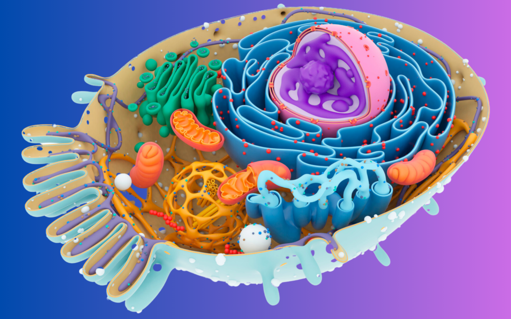 cells-the-building-blocks-of-life-acebioscience