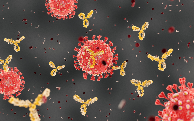 Antibodies and Antigens: Key Players in Immune Responses