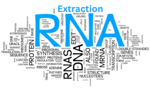 Read more about the article RNA Extraction: Unlocking the Secrets of Genetic Information